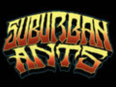 Suburban Ants composition artwork